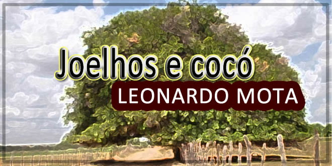 Joelhos e Cocó - Leonardo Mota